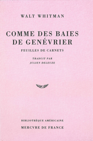 Comme des baies de genévrier